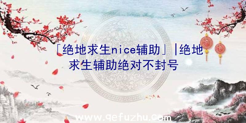 「绝地求生nice辅助」|绝地求生辅助绝对不封号